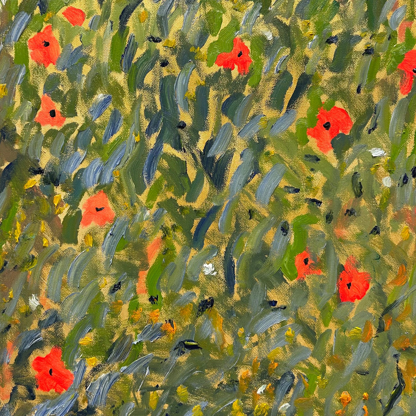 Poppy Climber